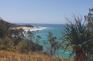 Rangers search North Stradbroke Island after local reports crocodile sighting near Myora Springs