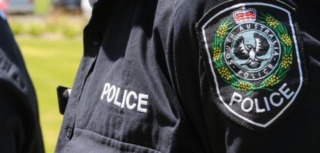 Milang man dies in crash