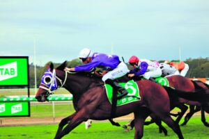 Ipswich Racing: Dittman delighted by brilliant Breton’s super win