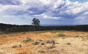 Seven years for being neglected: History of injustices at the Deebing Creek Mission
