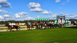 Ippy Cup – heart of racing