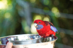 Check out the beautiful colours