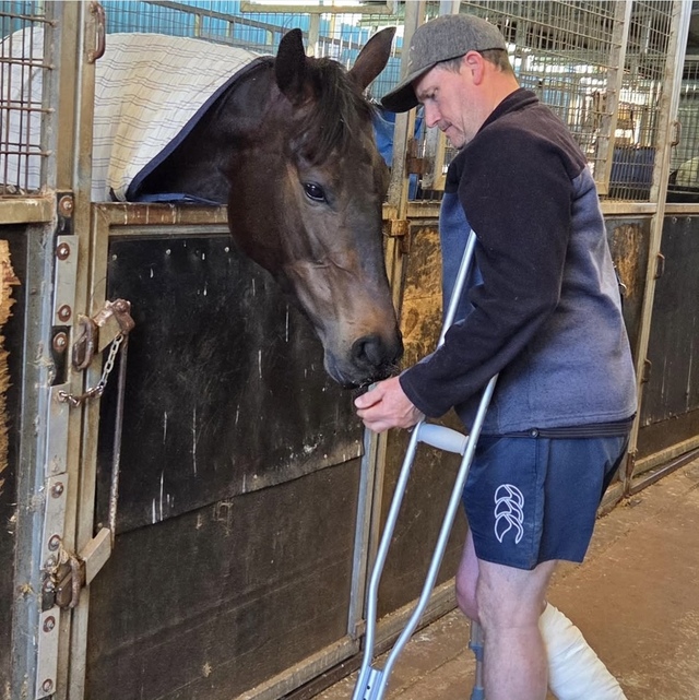 Horses keep Brett happy
